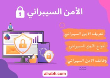 الأمن السيبراني