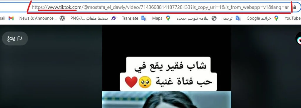 طريقة تنزيل فيديو تيك توك بدون علامه مائية مضمونة ومجربة 4 بنسخ عنوان الفيديو